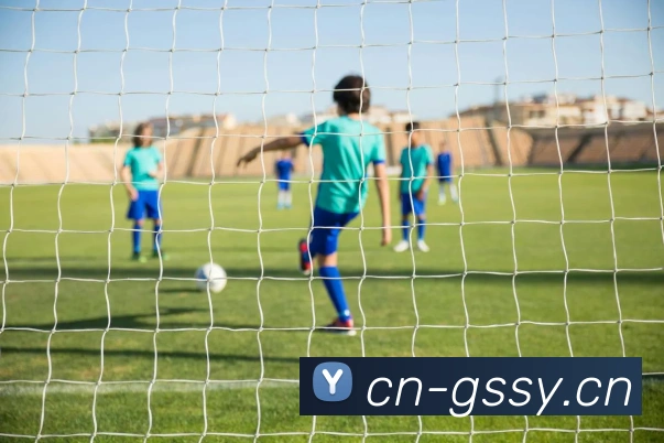 kaiyun体育app登录入口APP 封面图